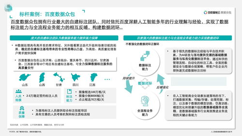 德勤咨詢 人工智能基礎(chǔ)數(shù)據(jù)服務(wù)與軟件開發(fā)白皮書