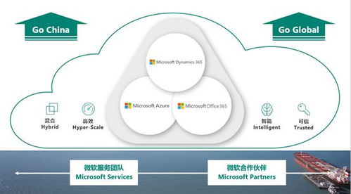 微軟智能商業(yè)云中國區(qū)戰(zhàn)略解析 Dynamics 365 發(fā)布會(huì)獨(dú)家揭秘與軟件開發(fā)新機(jī)遇